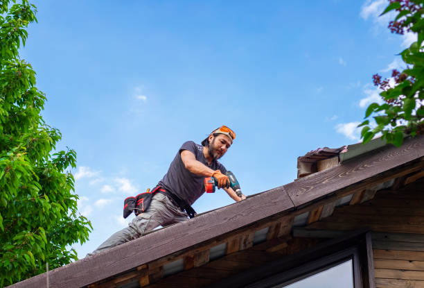Best Roof Moss and Algae Removal  in Mckees Rocks, PA